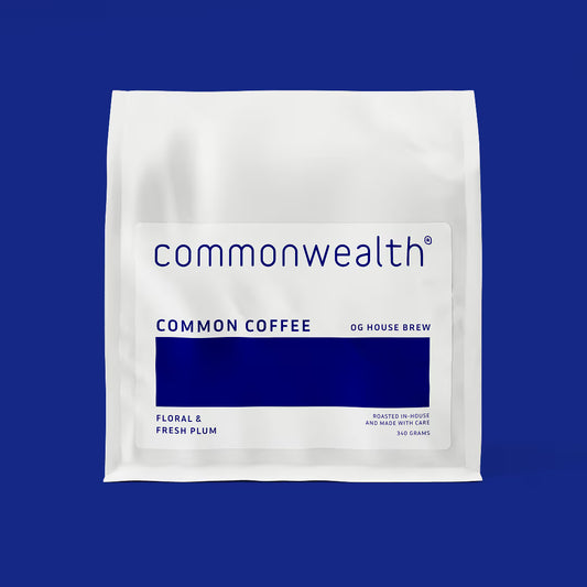 Drip Subscription - 2 Bags